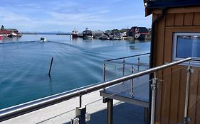 The Harbour House, Dorm And Twin, Selfservice Hostel